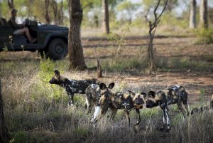 Tengile-River-Lodge0019