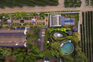 Babylonstoren0010