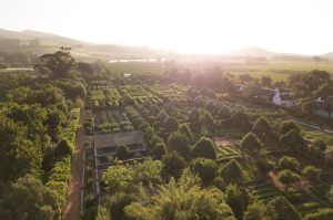 Babylonstoren0013
