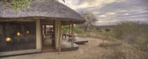 Asila-Africa-Oliver´s-Camp0002