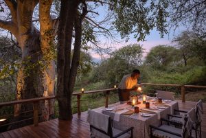 Asila-Africa-Oliver´s-Camp0009