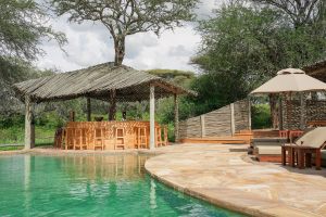 Asila-Africa-Oliver´s-Camp0012