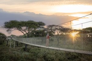 Asila-Africa-Oliver´s-Camp0018
