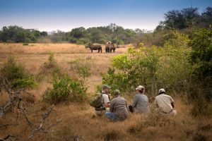 Phinda-Rock-LodgePhinda-Rock-Lodge0010