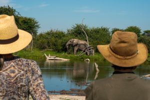 onguma_safari_camps_walking_trail_experience-11-scaled
